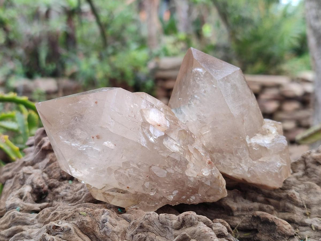 Natural Smokey Clear and Citrine Luena Quartz Crystals x 12 From Luena, Congo - Toprock Gemstones and Minerals 