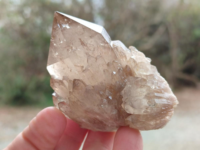 Natural Smokey Clear and Citrine Luena Quartz Crystals x 12 From Luena, Congo - Toprock Gemstones and Minerals 