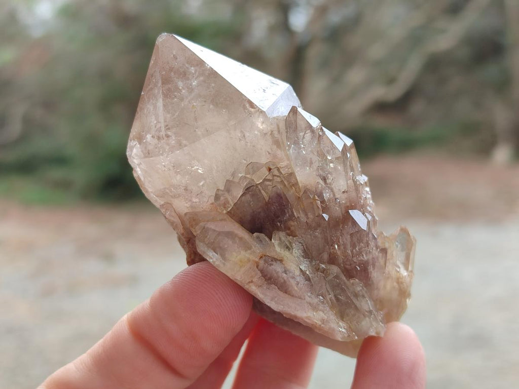 Natural Smokey Clear and Citrine Luena Quartz Crystals x 12 From Luena, Congo - Toprock Gemstones and Minerals 