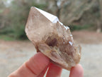 Natural Smokey Clear and Citrine Luena Quartz Crystals x 12 From Luena, Congo - Toprock Gemstones and Minerals 