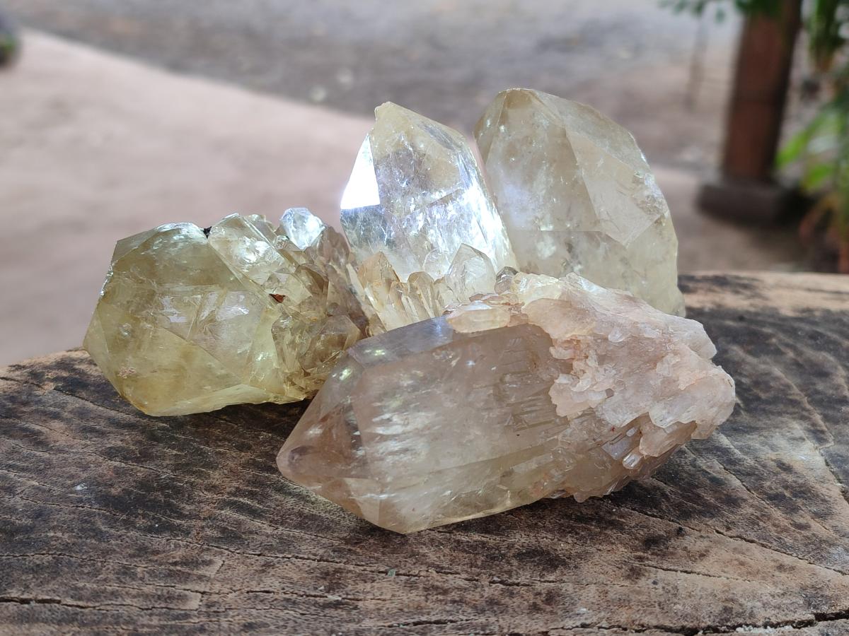Natural Smokey Clear and Citrine Luena Quartz Crystals x 12 From Luena, Congo - Toprock Gemstones and Minerals 
