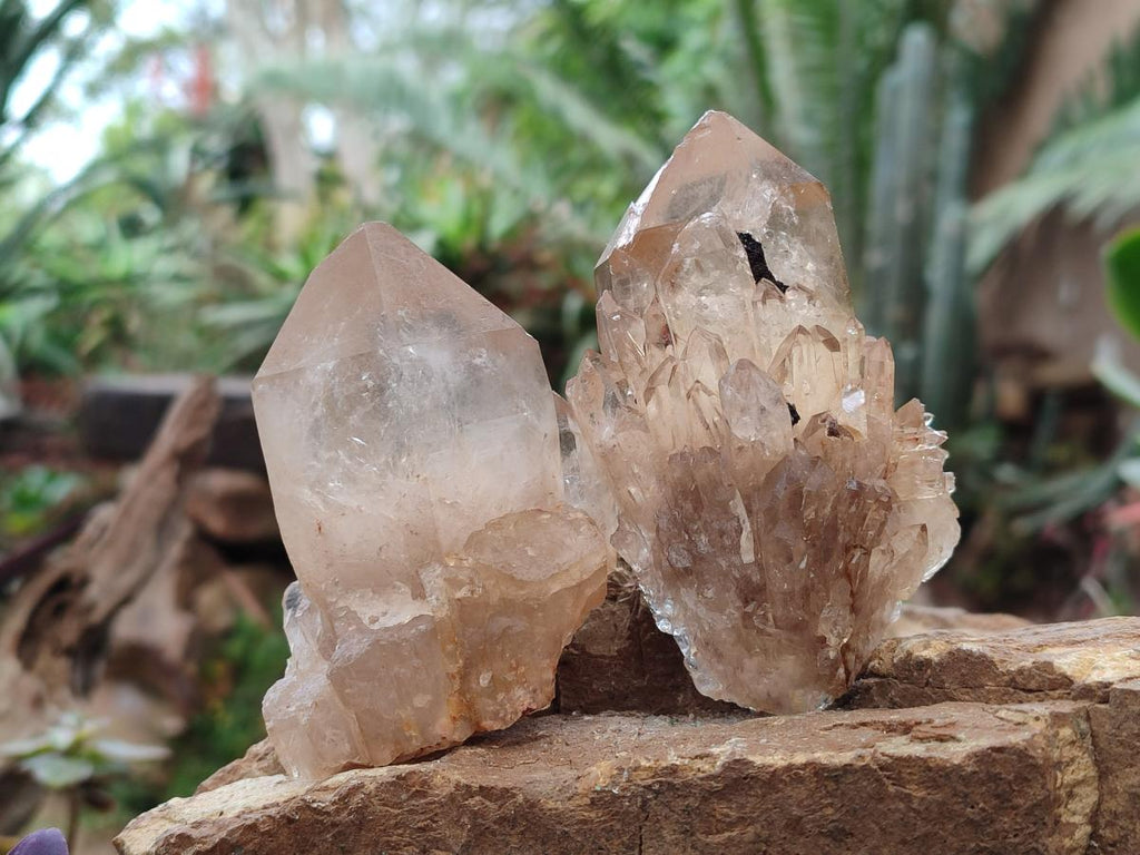 Natural Smokey Clear and Citrine Luena Quartz Crystals x 12 From Luena, Congo - Toprock Gemstones and Minerals 