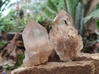 Natural Smokey Clear and Citrine Luena Quartz Crystals x 12 From Luena, Congo - Toprock Gemstones and Minerals 