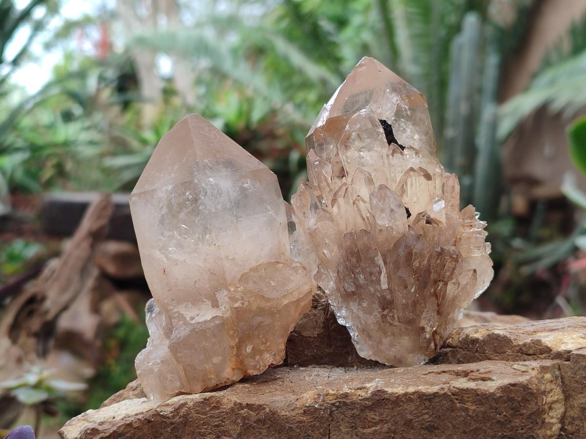 Natural Smokey Clear and Citrine Luena Quartz Crystals x 12 From Luena, Congo - Toprock Gemstones and Minerals 