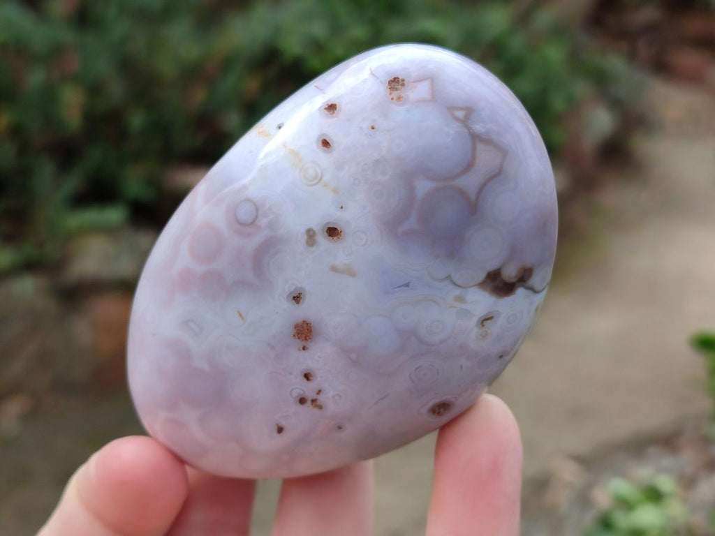 Polished and Natural Large Red Shashe River Agate Free Forms x 12 From Shashe River, Zimbabwe - Toprock Gemstones and Minerals 