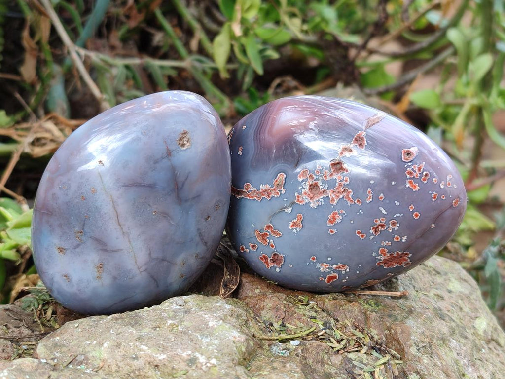 Polished and Natural Large Red Shashe River Agate Free Forms x 12 From Shashe River, Zimbabwe - Toprock Gemstones and Minerals 