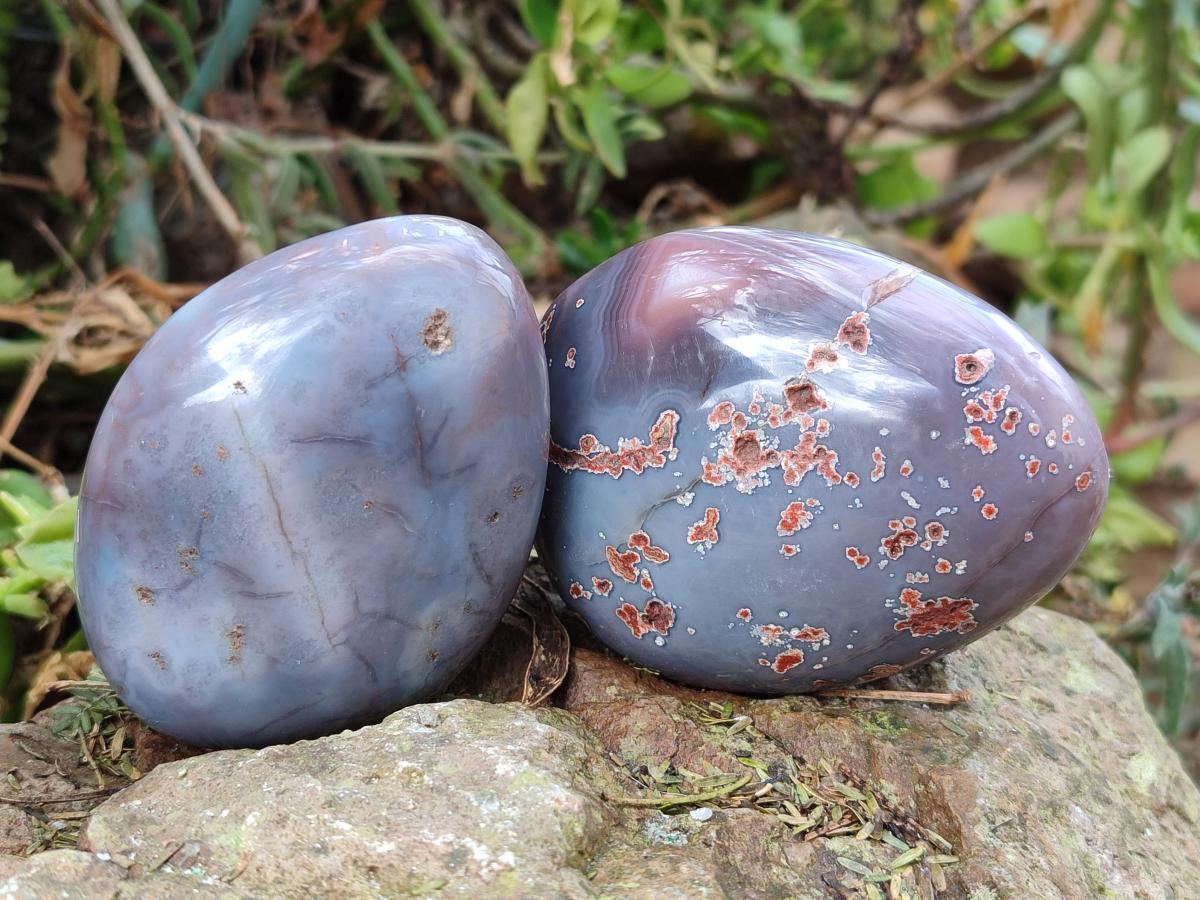 Polished and Natural Large Red Shashe River Agate Free Forms x 12 From Shashe River, Zimbabwe - Toprock Gemstones and Minerals 