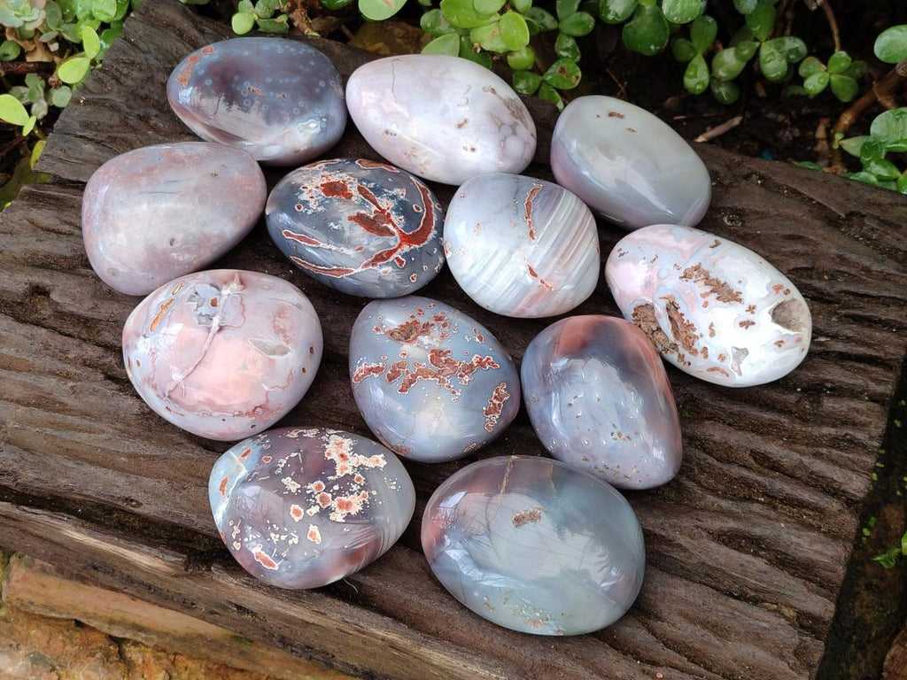 Polished and Natural Large Red Shashe River Agate Free Forms x 12 From Shashe River, Zimbabwe - Toprock Gemstones and Minerals 