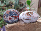 Polished and Natural Large Red Shashe River Agate Free Forms x 12 From Shashe River, Zimbabwe - Toprock Gemstones and Minerals 