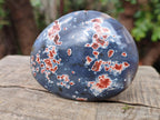 Polished and Natural Large Red Shashe River Agate Free Forms x 12 From Shashe River, Zimbabwe - Toprock Gemstones and Minerals 