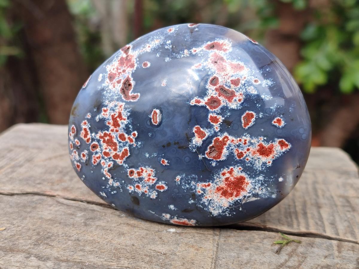 Polished and Natural Large Red Shashe River Agate Free Forms x 12 From Shashe River, Zimbabwe - Toprock Gemstones and Minerals 