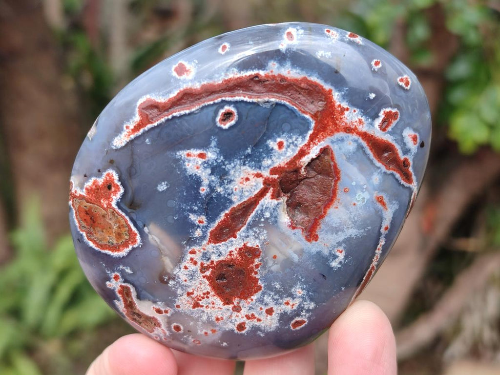 Polished and Natural Large Red Shashe River Agate Free Forms x 12 From Shashe River, Zimbabwe - Toprock Gemstones and Minerals 