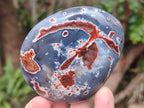 Polished and Natural Large Red Shashe River Agate Free Forms x 12 From Shashe River, Zimbabwe - Toprock Gemstones and Minerals 
