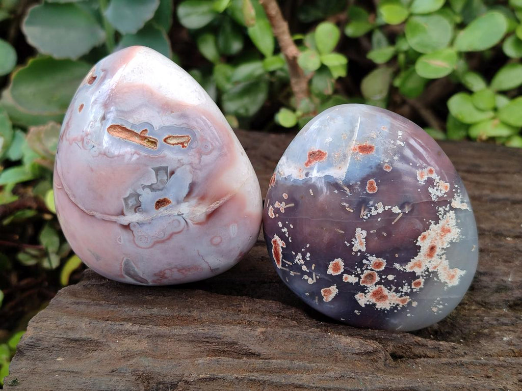 Polished and Natural Large Red Shashe River Agate Free Forms x 12 From Shashe River, Zimbabwe - Toprock Gemstones and Minerals 
