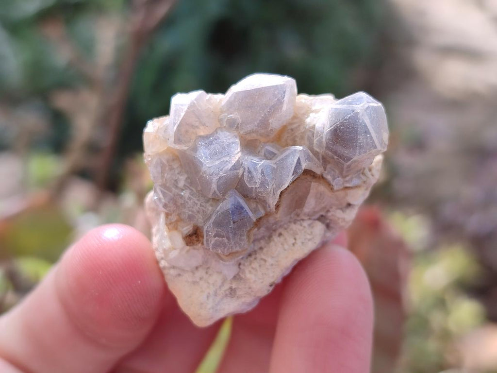 Natural Golden Limonite Quartz Clusters x 70 From Solwezi, Zambia - Toprock Gemstones and Minerals 