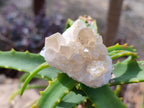 Natural Golden Limonite Quartz Clusters x 70 From Solwezi, Zambia - Toprock Gemstones and Minerals 