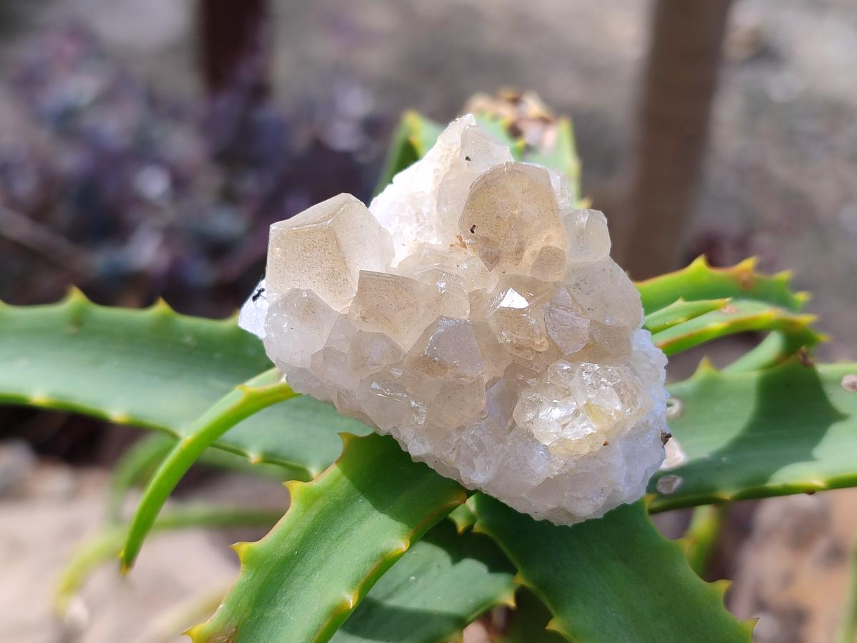 Natural Golden Limonite Quartz Clusters x 70 From Solwezi, Zambia - Toprock Gemstones and Minerals 