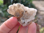 Natural Golden Limonite Quartz Clusters x 70 From Solwezi, Zambia - Toprock Gemstones and Minerals 
