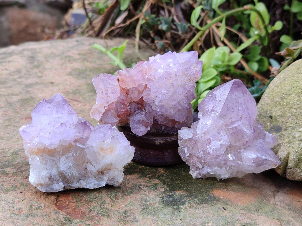Natural Spirit Amethyst Clusters x 12 From Boekenhouthoek, South Africa - Toprock Gemstones and Minerals 