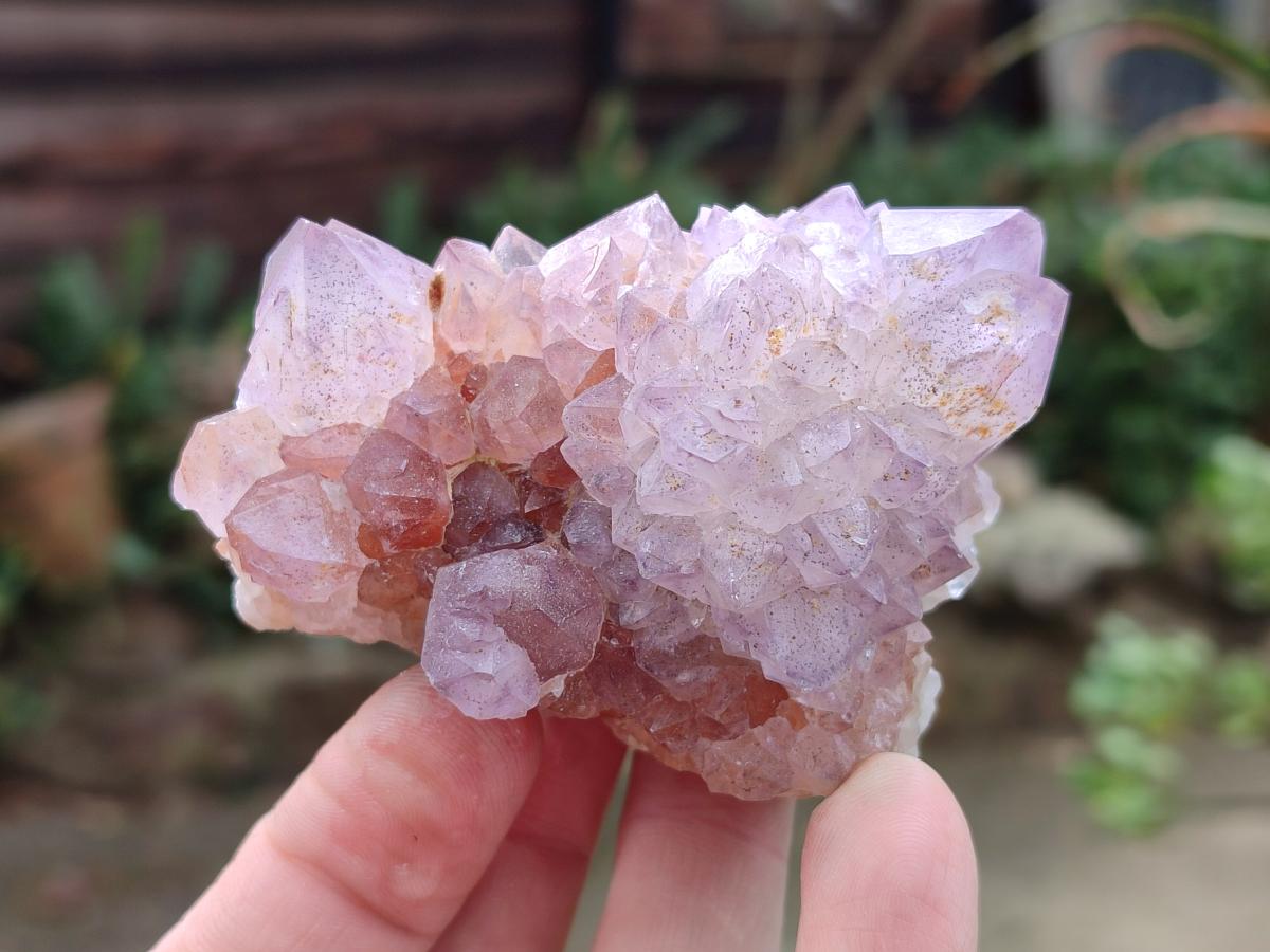 Natural Spirit Amethyst Clusters x 12 From Boekenhouthoek, South Africa - Toprock Gemstones and Minerals 