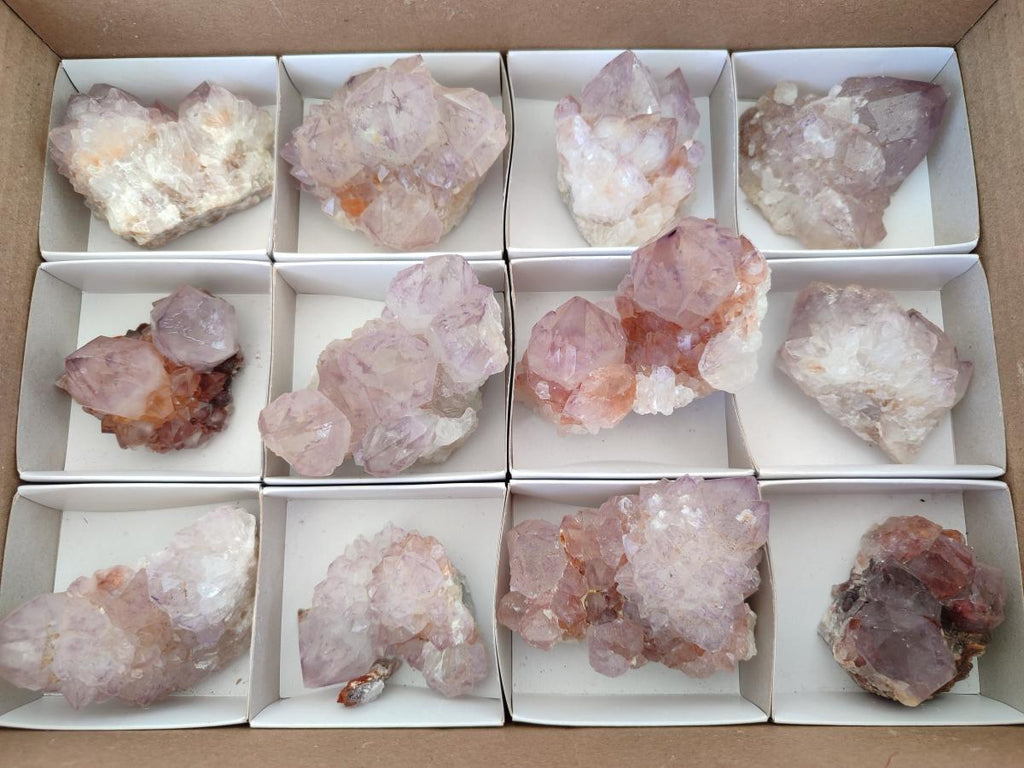 Natural Spirit Amethyst Clusters x 12 From Boekenhouthoek, South Africa - Toprock Gemstones and Minerals 