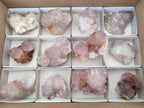 Natural Spirit Amethyst Clusters x 12 From Boekenhouthoek, South Africa - Toprock Gemstones and Minerals 