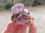Natural Spirit Amethyst Clusters x 12 From Boekenhouthoek, South Africa - Toprock Gemstones and Minerals 