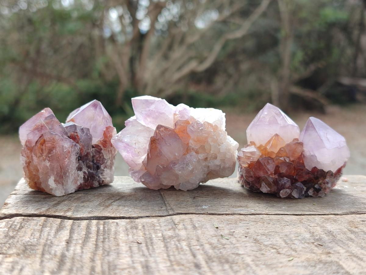 Natural Spirit Amethyst Clusters x 12 From Boekenhouthoek, South Africa - Toprock Gemstones and Minerals 