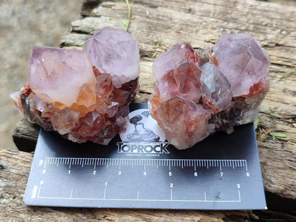 Natural Spirit Amethyst Clusters x 12 From Boekenhouthoek, South Africa - Toprock Gemstones and Minerals 