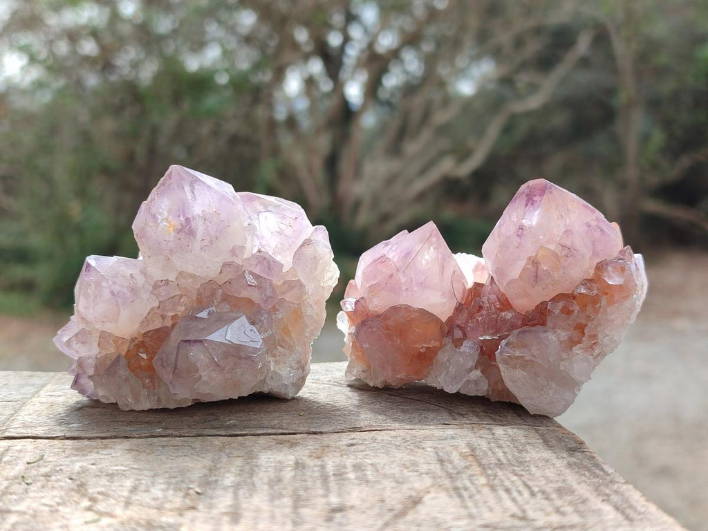 Natural Spirit Amethyst Clusters x 12 From Boekenhouthoek, South Africa - Toprock Gemstones and Minerals 