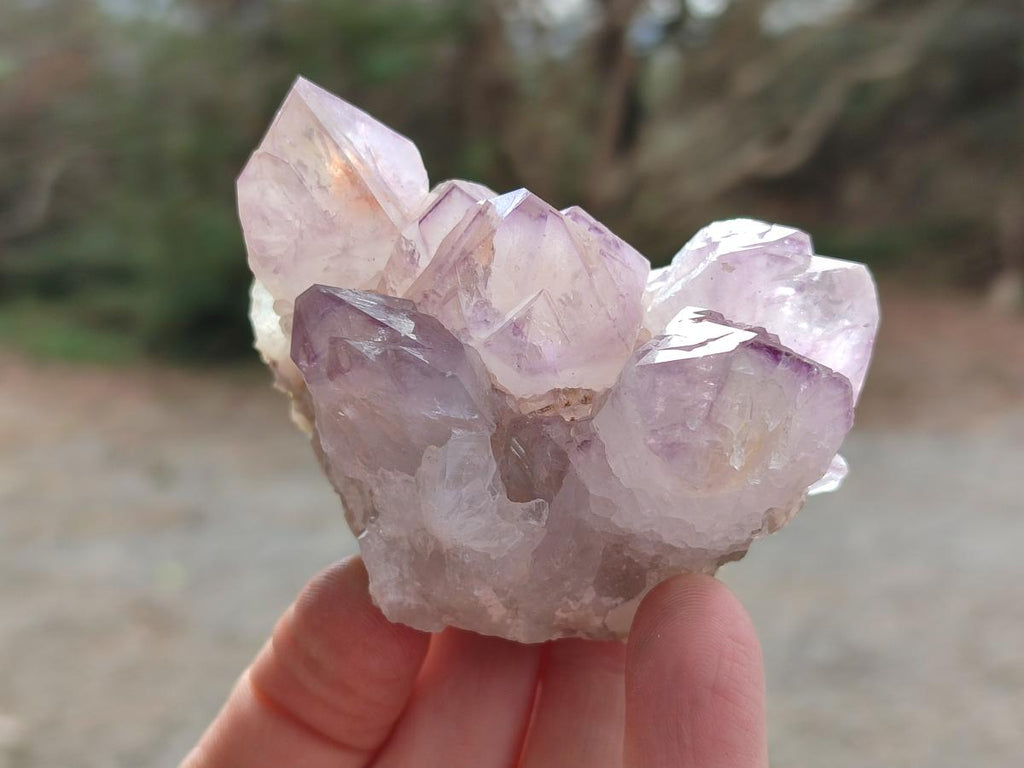 Natural Spirit Amethyst Clusters x 12 From Boekenhouthoek, South Africa - Toprock Gemstones and Minerals 
