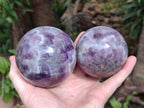 Polished Chevron Amethyst Spheres x 2 From Zambia - Toprock Gemstones and Minerals 