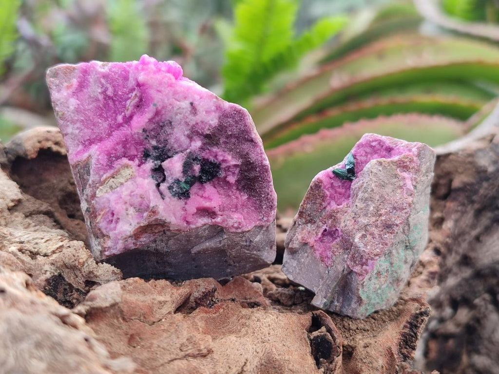 Natural Salrose Cobaltoan Dolomite Specimens with Associated Minerals x 12 From Kakanda, Congo - Toprock Gemstones and Minerals 