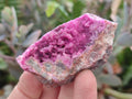 Natural Salrose Cobaltoan Dolomite Specimens with Associated Minerals x 12 From Kakanda, Congo - Toprock Gemstones and Minerals 