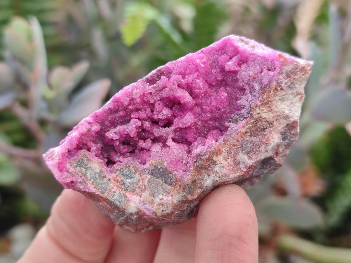 Natural Salrose Cobaltoan Dolomite Specimens with Associated Minerals x 12 From Kakanda, Congo - Toprock Gemstones and Minerals 