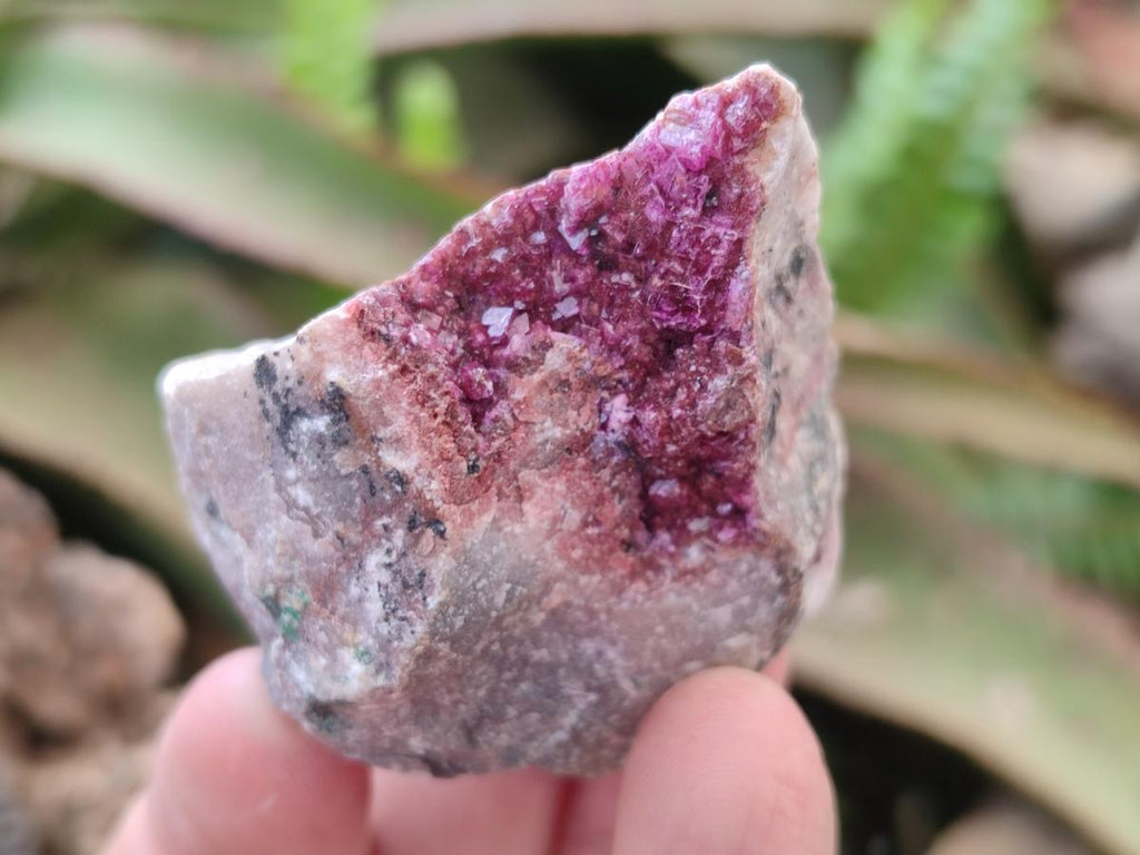 Natural Salrose Cobaltoan Dolomite Specimens with Associated Minerals x 12 From Kakanda, Congo - Toprock Gemstones and Minerals 
