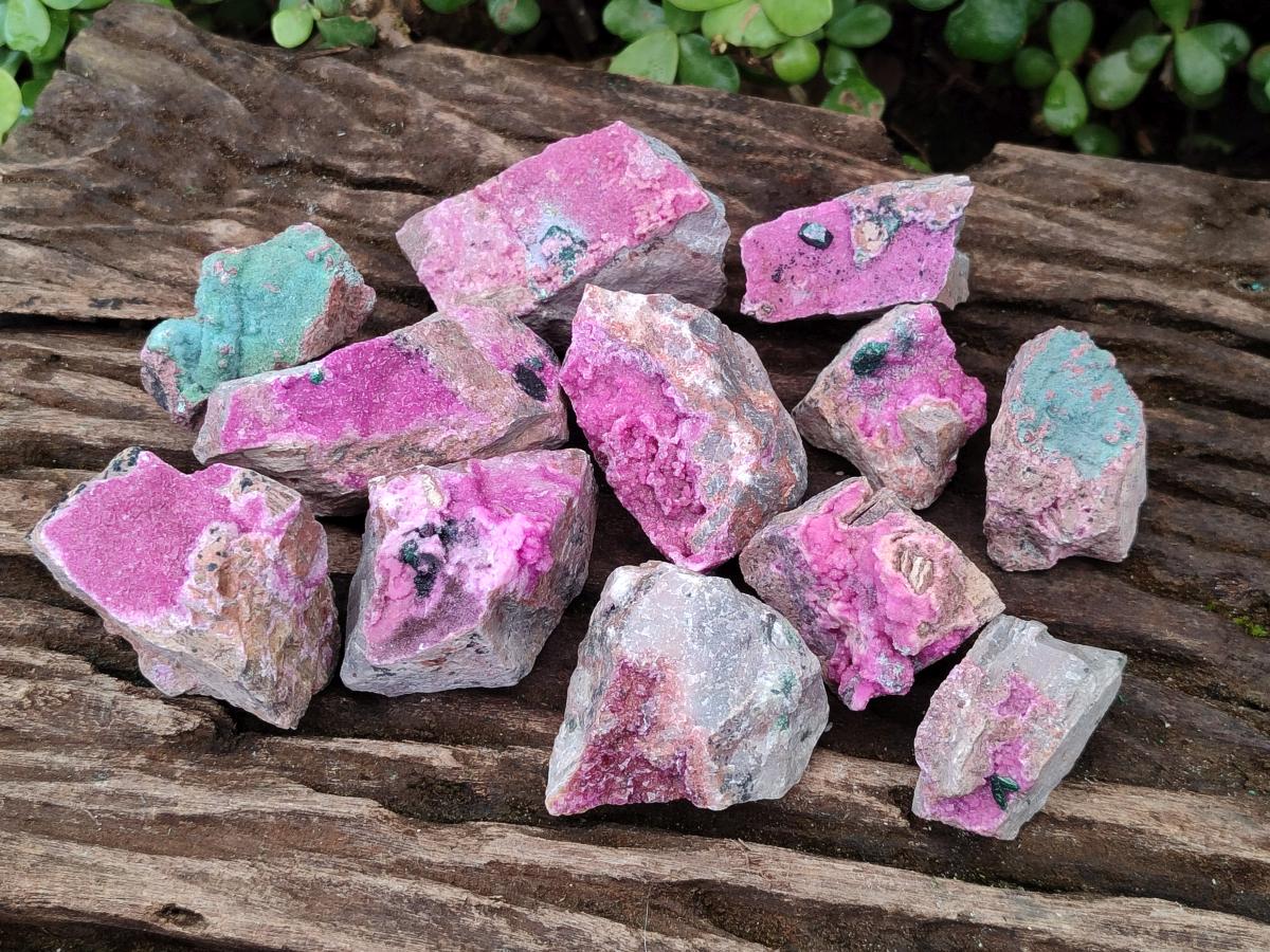 Natural Salrose Cobaltoan Dolomite Specimens with Associated Minerals x 12 From Kakanda, Congo - Toprock Gemstones and Minerals 