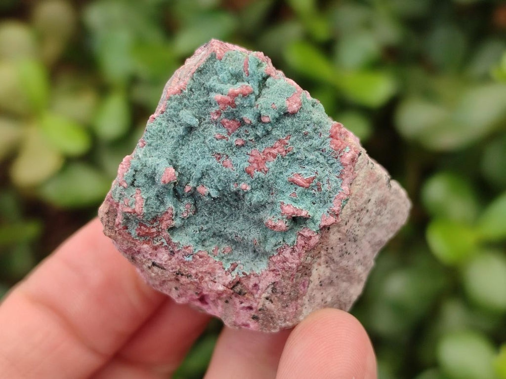 Natural Salrose Cobaltoan Dolomite Specimens with Associated Minerals x 12 From Kakanda, Congo - Toprock Gemstones and Minerals 