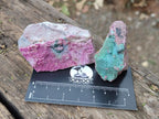 Natural Salrose Cobaltoan Dolomite Specimens with Associated Minerals x 12 From Kakanda, Congo - Toprock Gemstones and Minerals 
