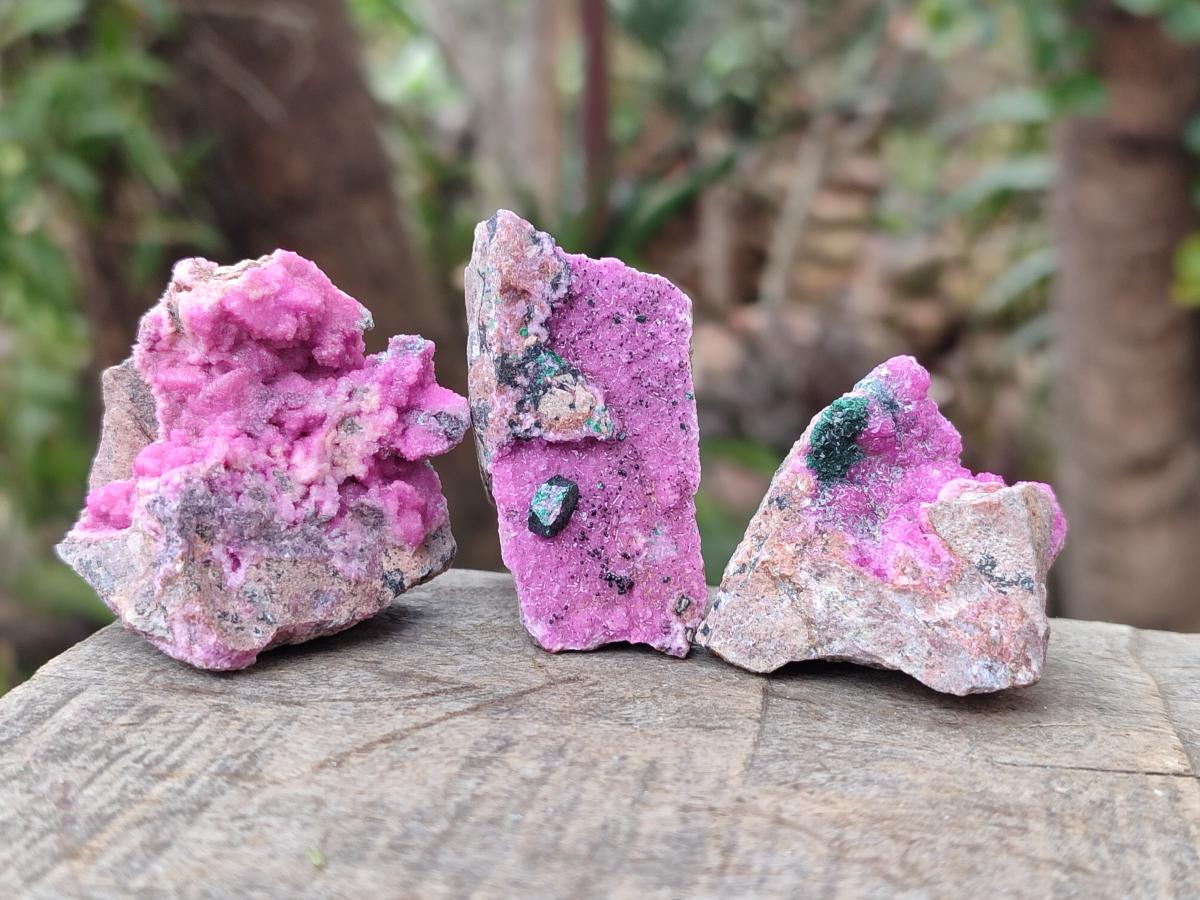 Natural Salrose Cobaltoan Dolomite Specimens with Associated Minerals x 12 From Kakanda, Congo - Toprock Gemstones and Minerals 