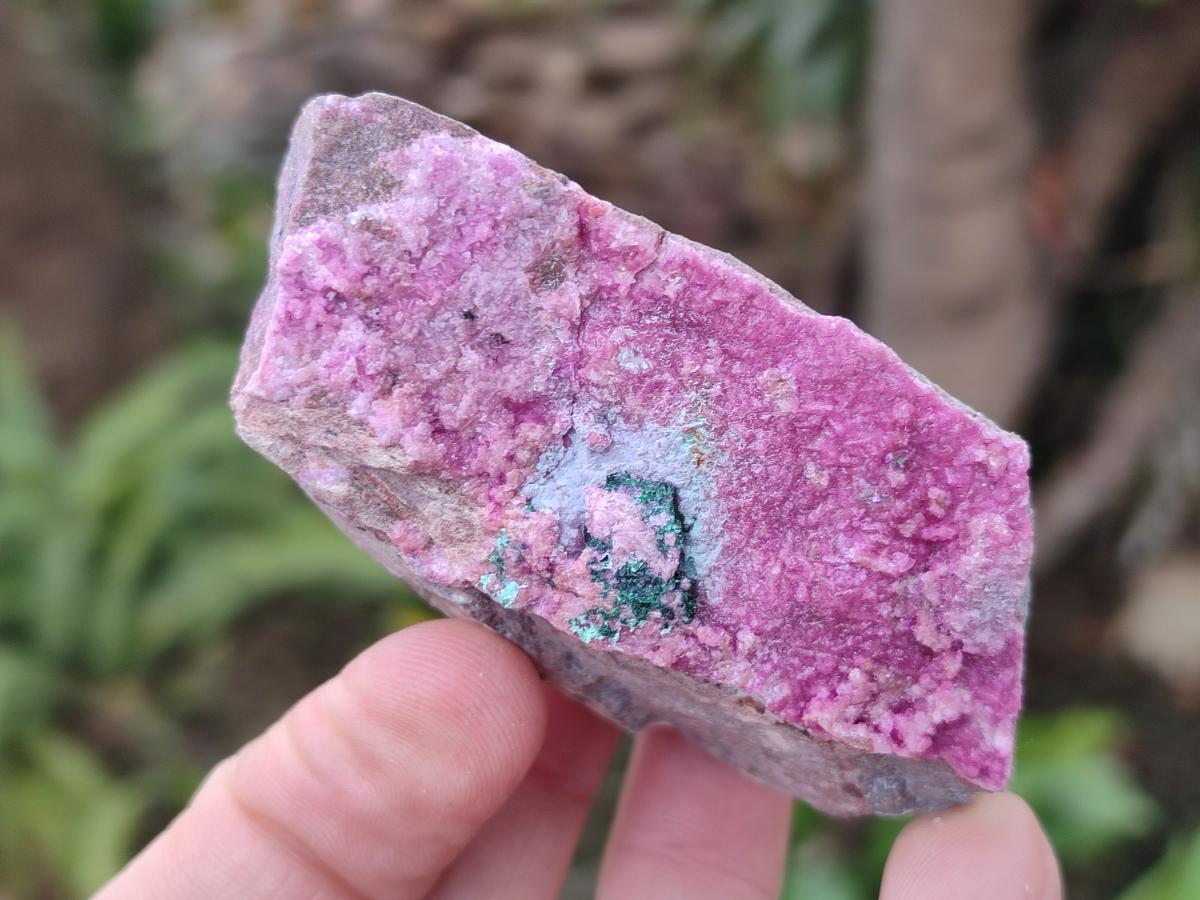 Natural Salrose Cobaltoan Dolomite Specimens with Associated Minerals x 12 From Kakanda, Congo - Toprock Gemstones and Minerals 