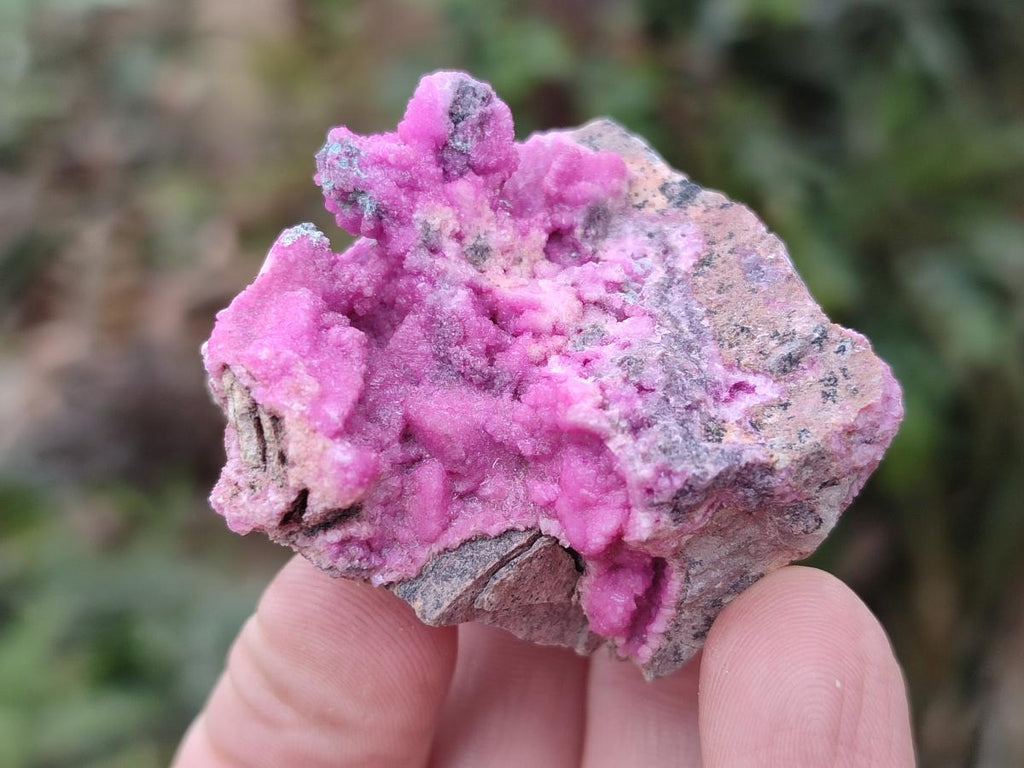 Natural Salrose Cobaltoan Dolomite Specimens with Associated Minerals x 12 From Kakanda, Congo - Toprock Gemstones and Minerals 