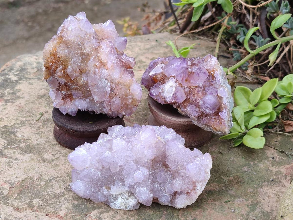 Natural Spirit Amethyst Clusters x 24 From Boekenhouthoek, South Africa - Toprock Gemstones and Minerals 