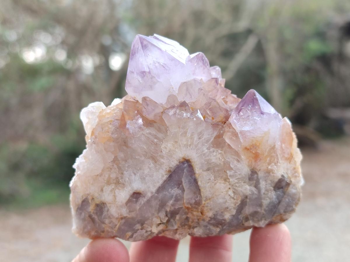 Natural Spirit Amethyst Clusters x 24 From Boekenhouthoek, South Africa - Toprock Gemstones and Minerals 