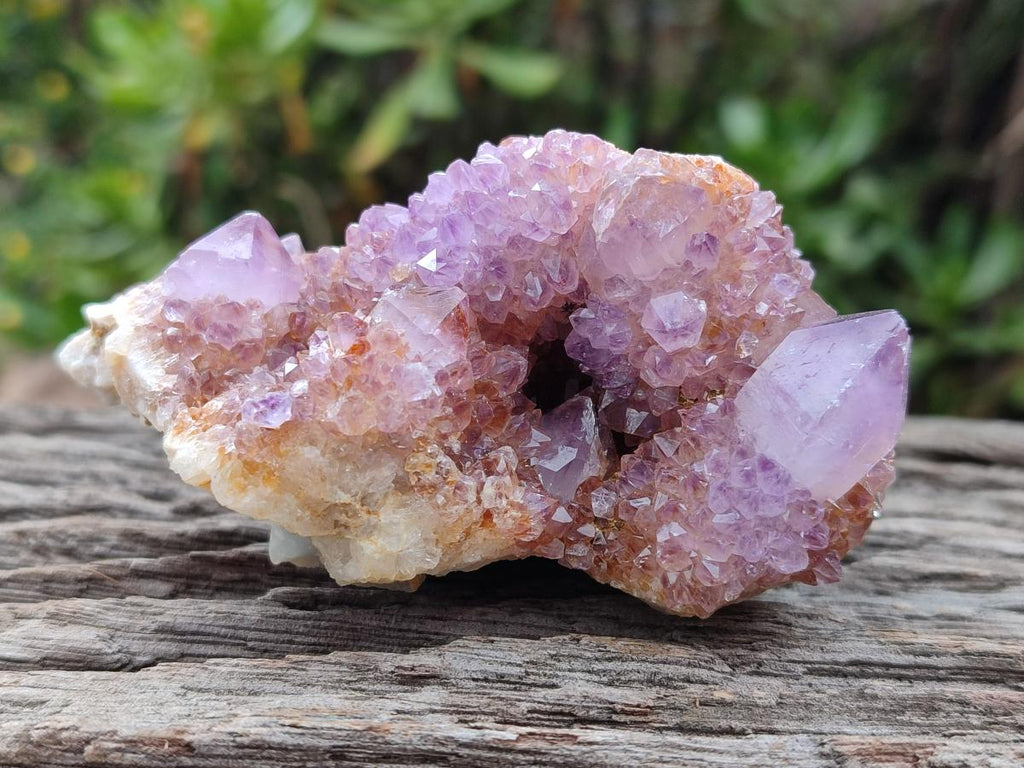 Natural Spirit Amethyst Clusters x 24 From Boekenhouthoek, South Africa - Toprock Gemstones and Minerals 