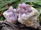 Natural Spirit Amethyst Clusters x 24 From Boekenhouthoek, South Africa - Toprock Gemstones and Minerals 