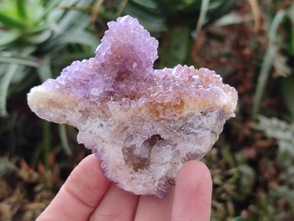Natural Spirit Amethyst Clusters x 24 From Boekenhouthoek, South Africa - Toprock Gemstones and Minerals 