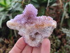 Natural Spirit Amethyst Clusters x 24 From Boekenhouthoek, South Africa - Toprock Gemstones and Minerals 
