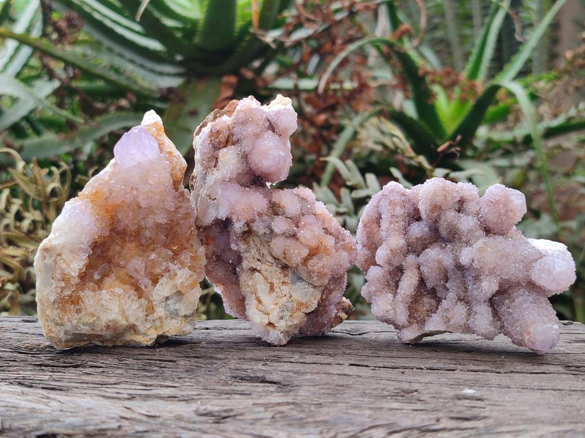 Natural Spirit Amethyst Clusters x 24 From Boekenhouthoek, South Africa - Toprock Gemstones and Minerals 