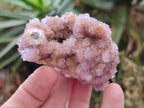 Natural Spirit Amethyst Clusters x 24 From Boekenhouthoek, South Africa - Toprock Gemstones and Minerals 
